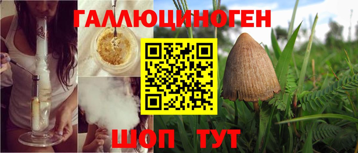 Псилоцибиновые грибы мицелий Чехов