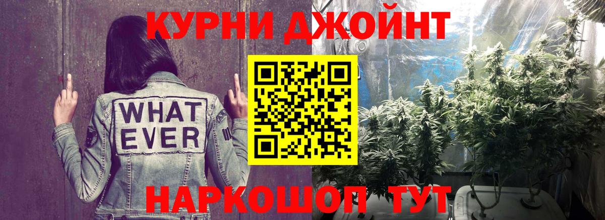 Каннабис ГИДРОПОН Чехов